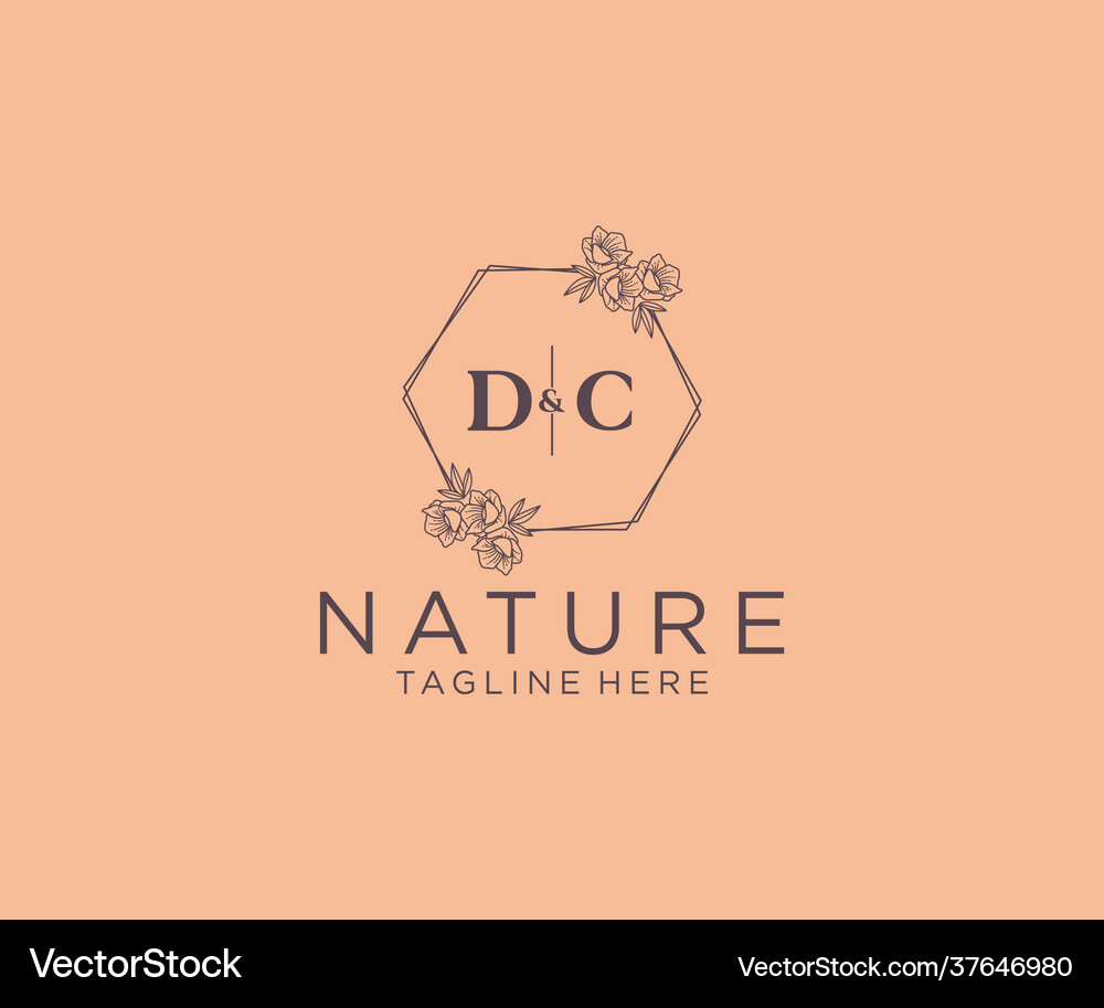 Initial dc letters floral frames botanical Vector Image