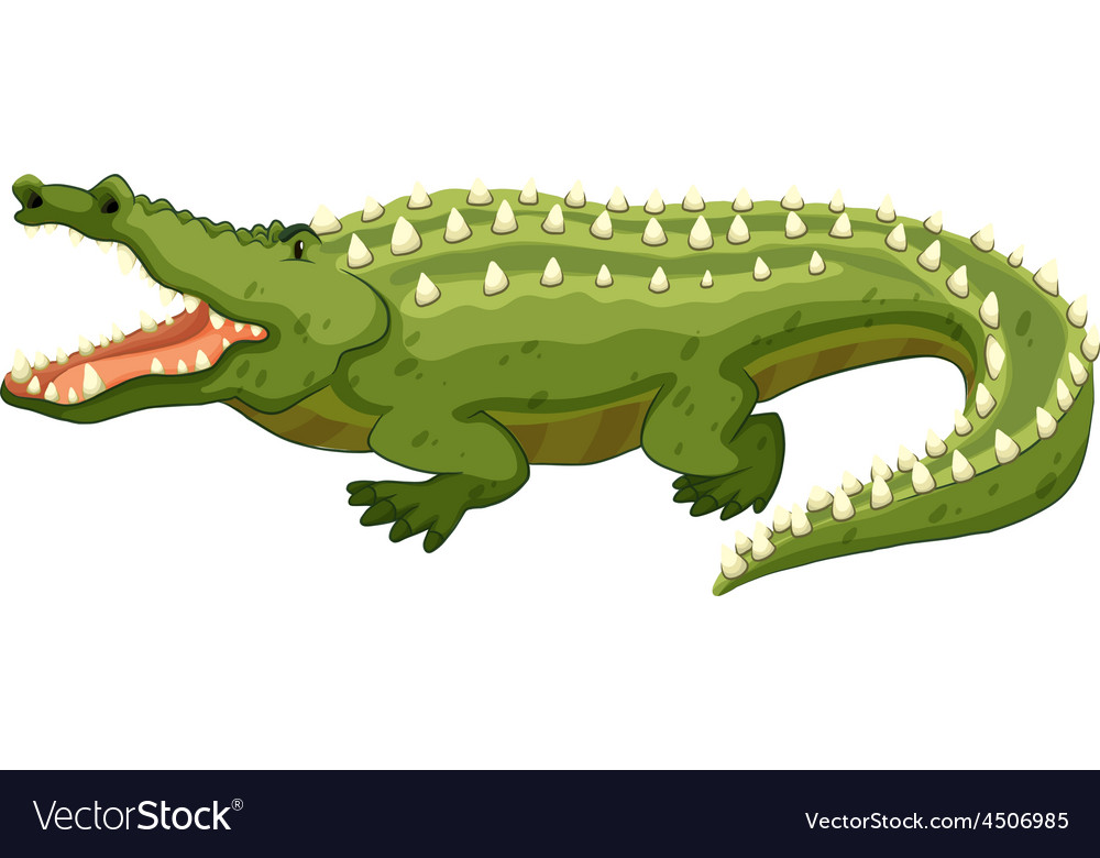 Crocodile Royalty Free Vector Image - VectorStock