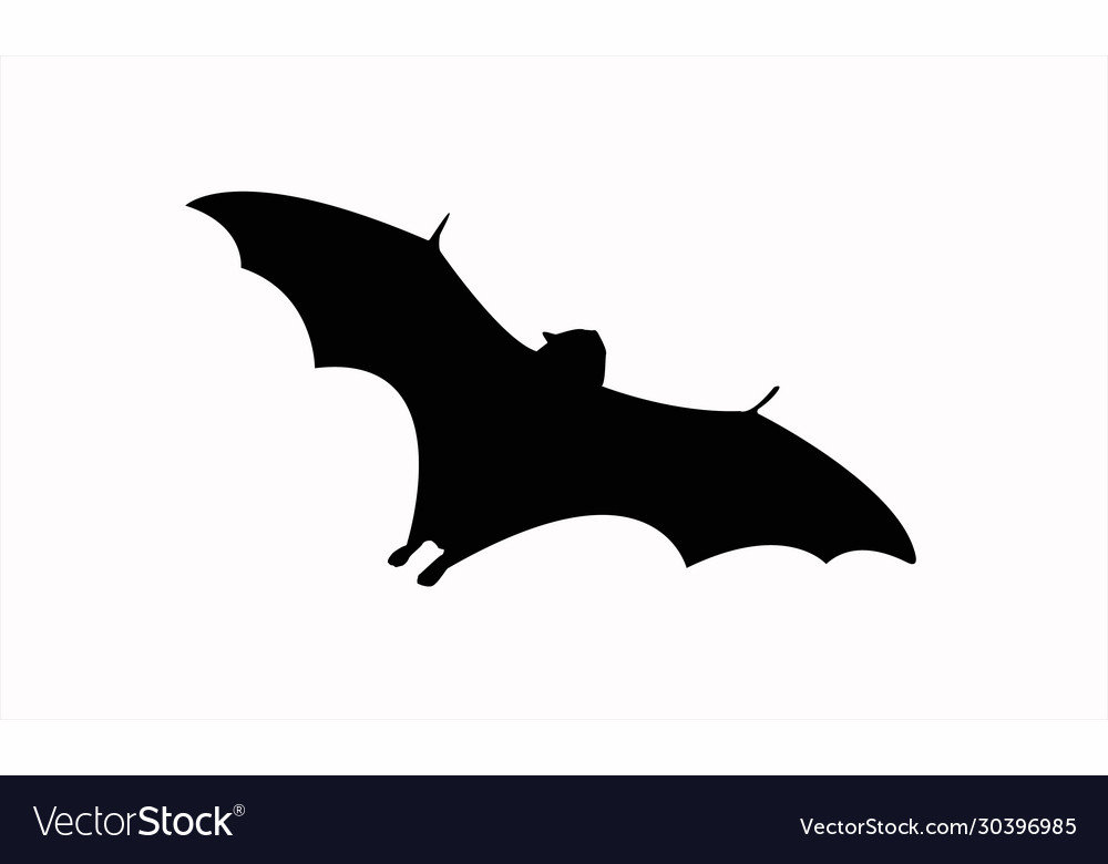 Flying fox silhouette