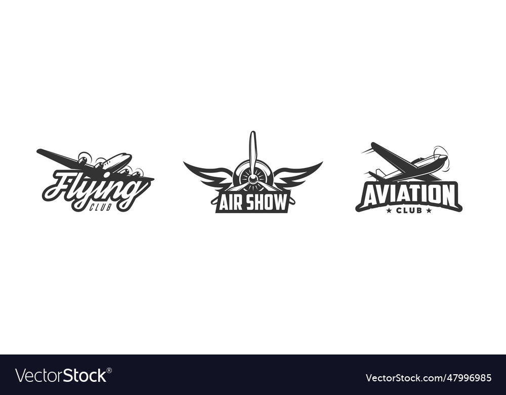Set of airplane show labels and elements Vector Image Set of airplane show labels and elements