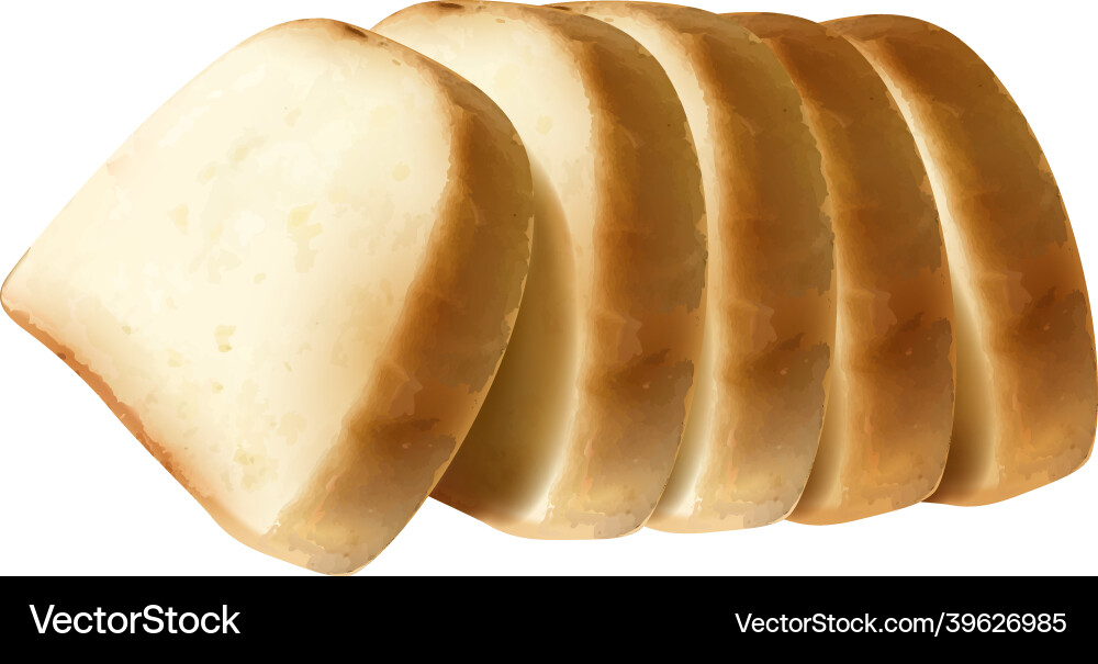 Wheat bread slices Royalty Free Vector Image - VectorStock