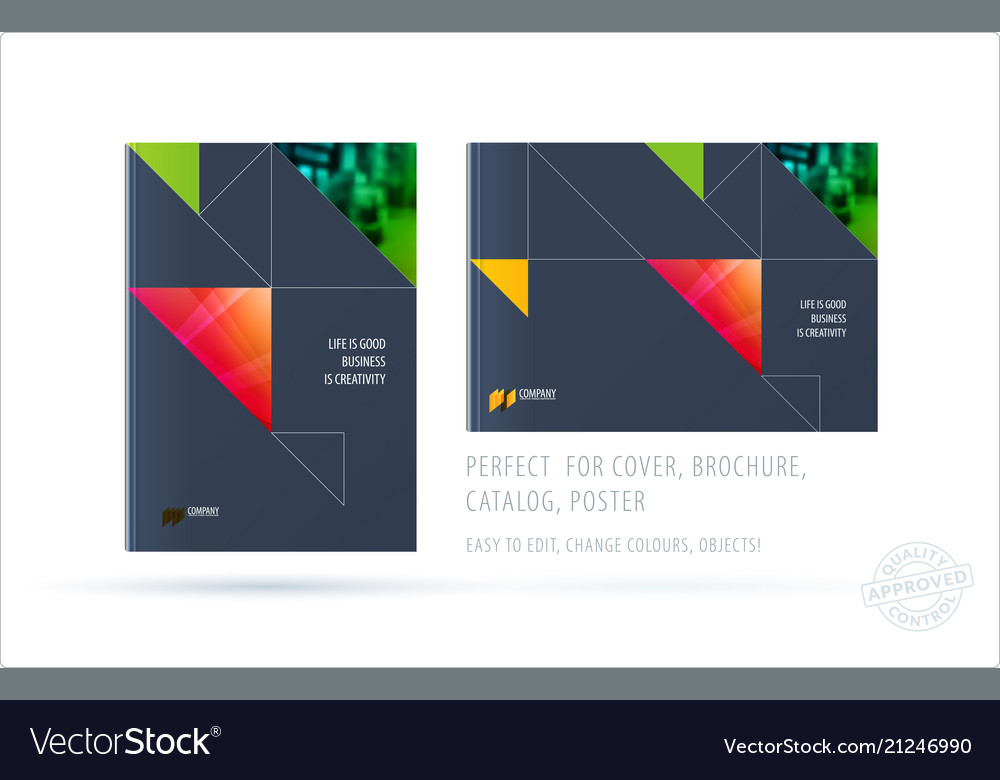 Brochure design triangular template colourful vector image Brochure design triangular template colourful