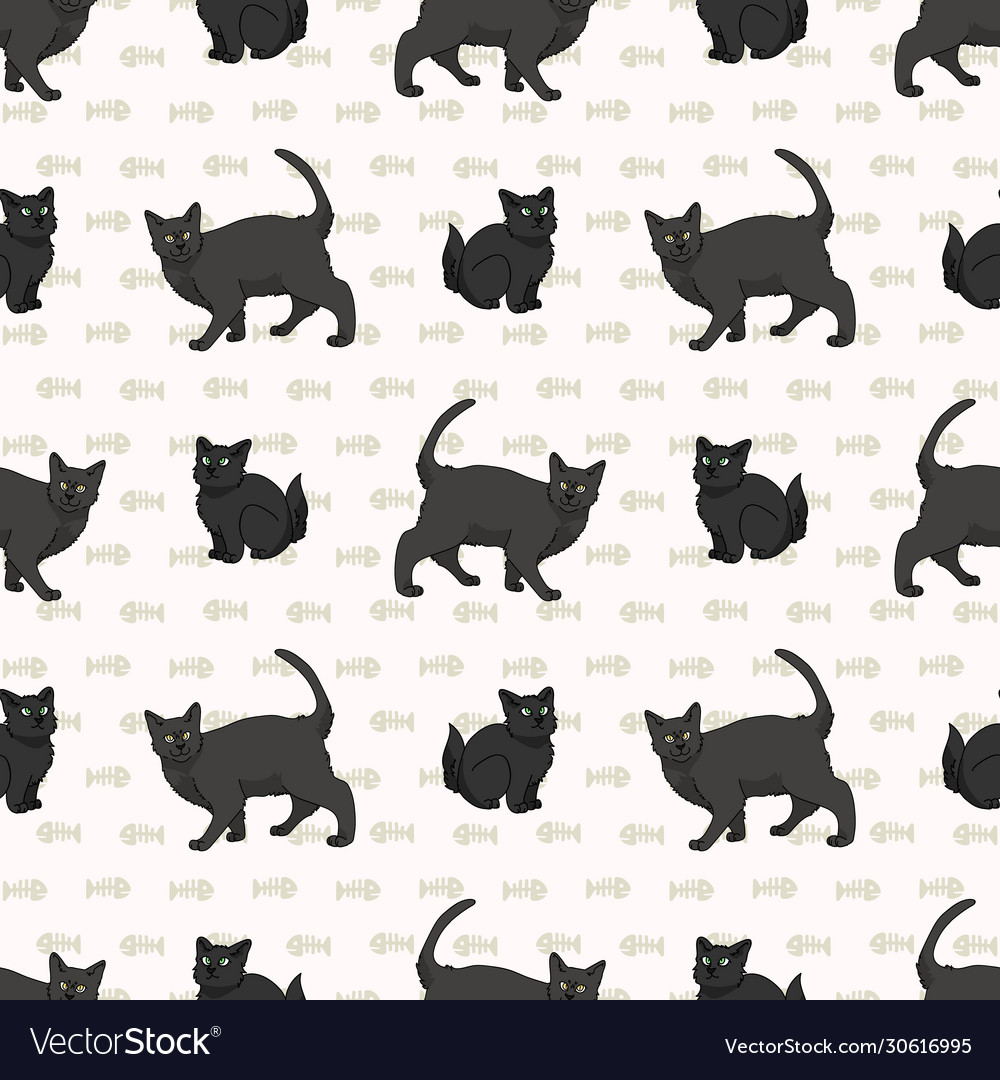 Cute cartoon bombay cat and kitten seamless Vector Image