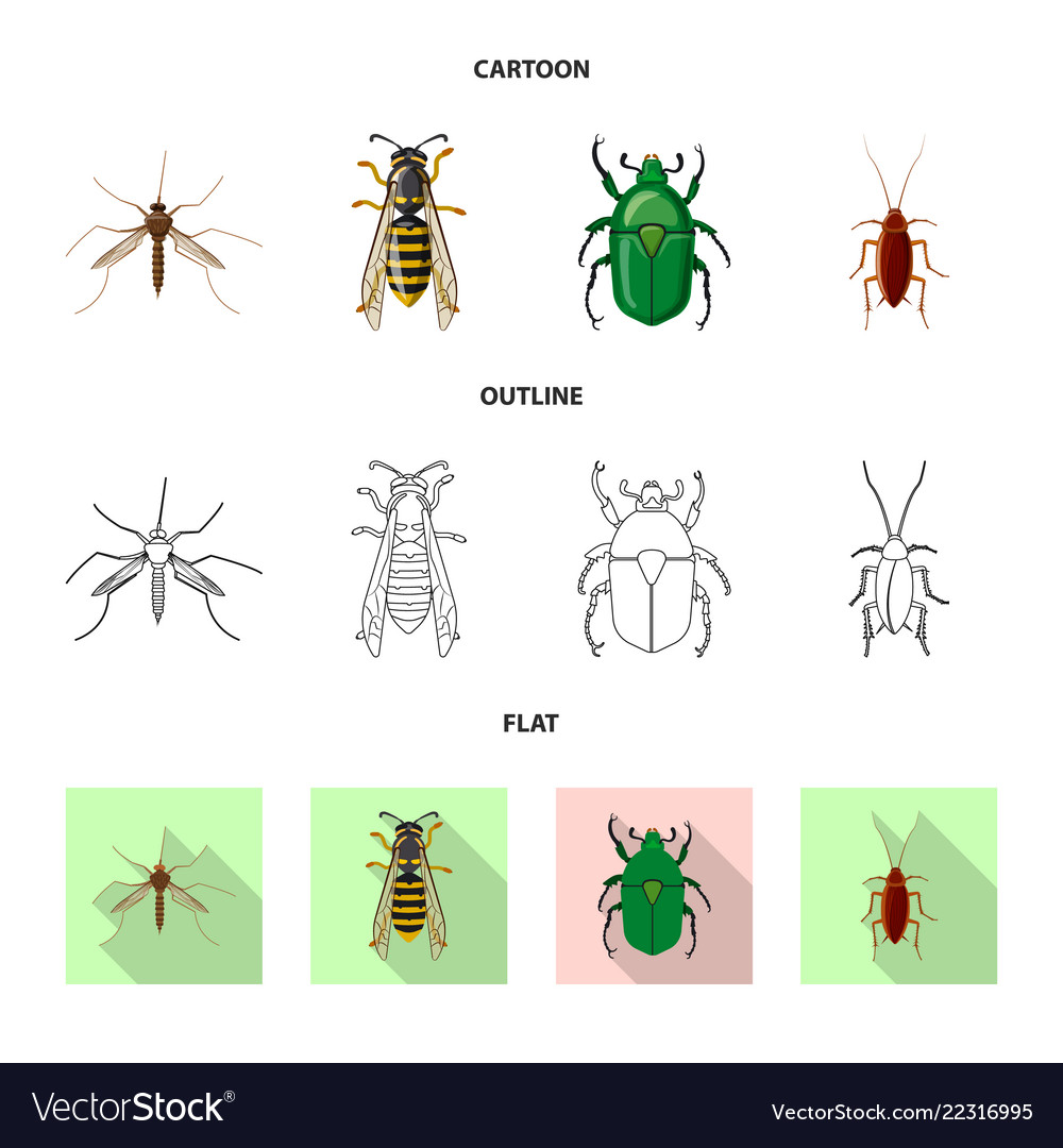 Isolated object of insect and fly sign set vector image Isolated object of insect and fly sign set