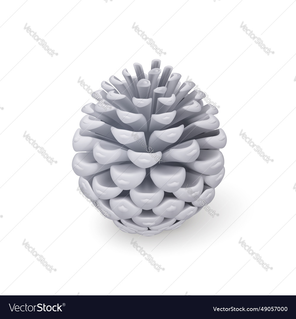 Fir cone