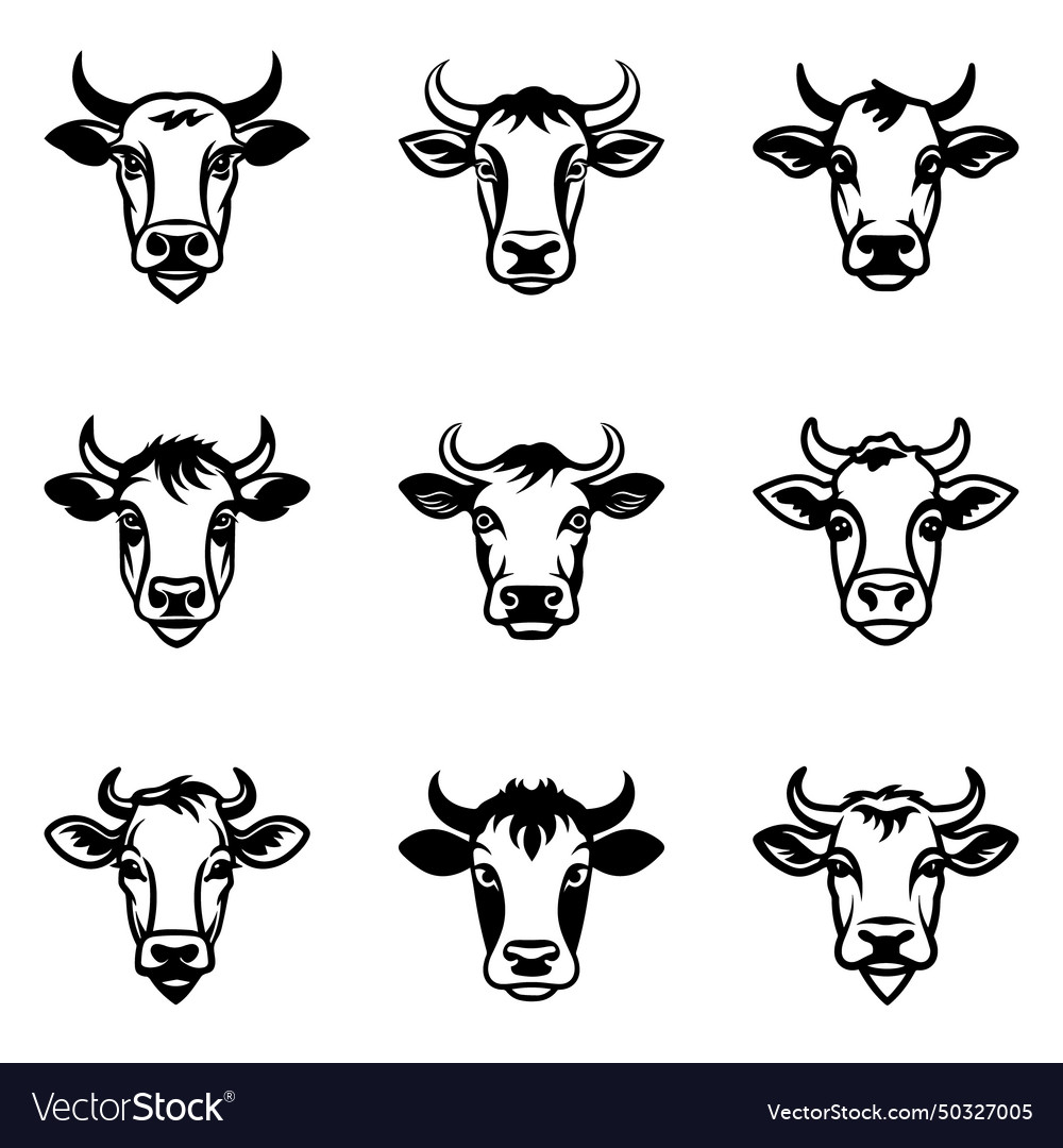 Cows flat icon set isolated on white background