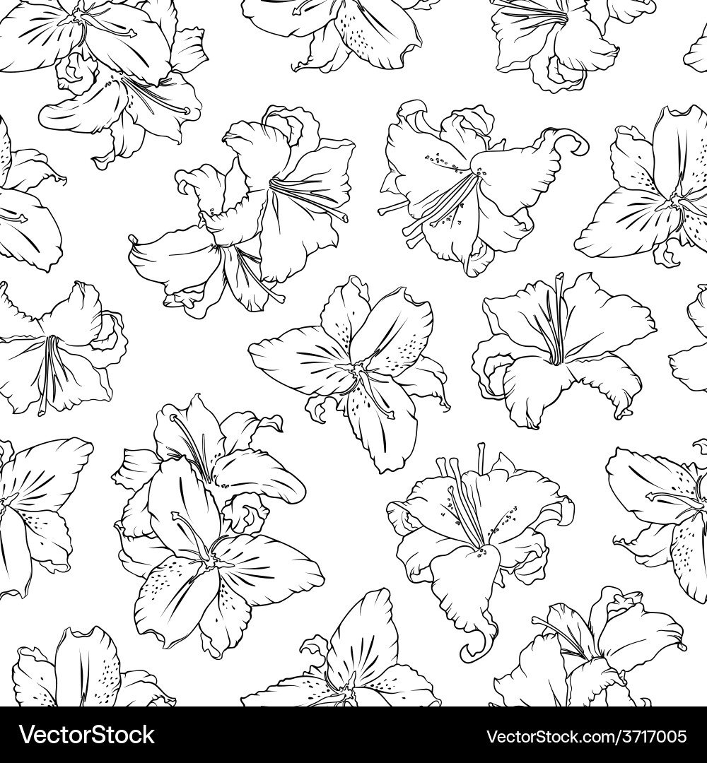 White lilies seamless pattern Royalty Free Vector Image
