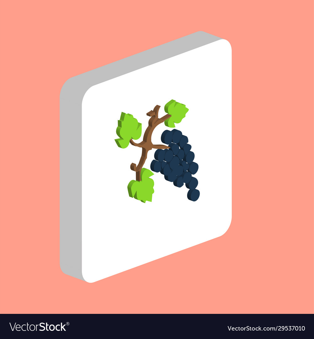 Grapes computer symbol vector image Grapes computer symbol