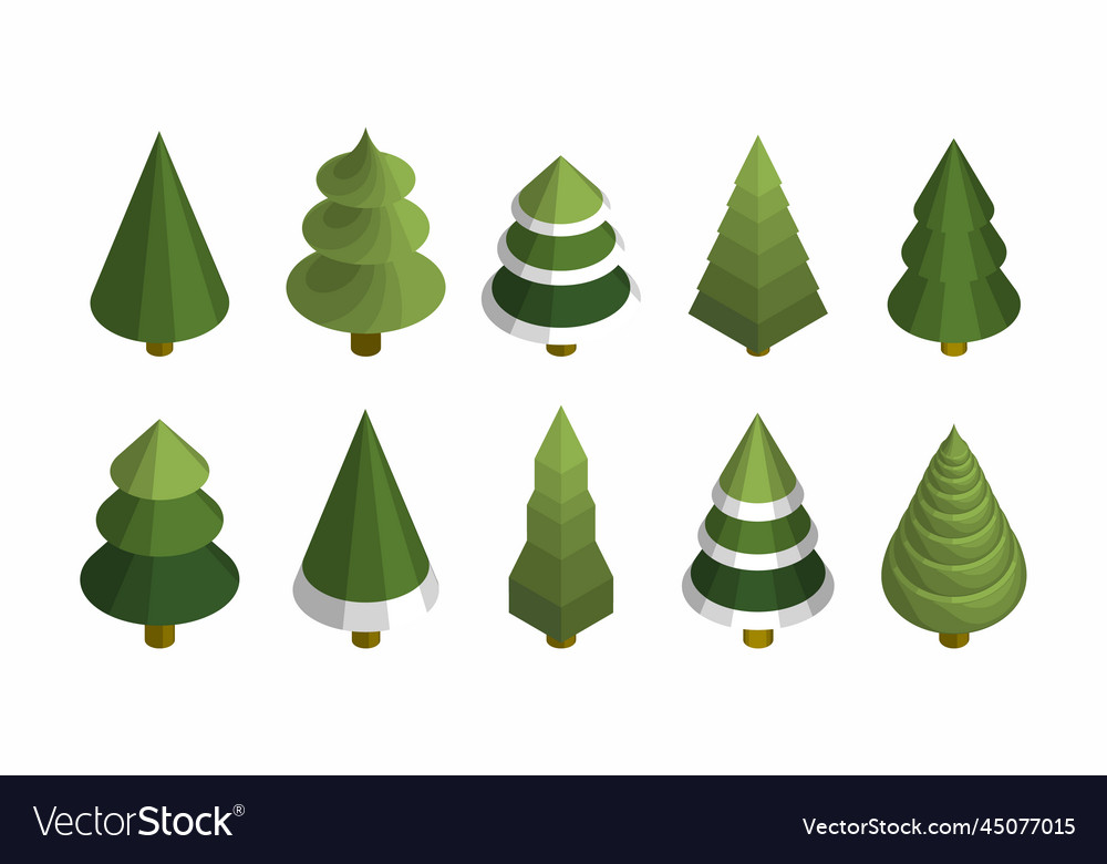 Isometric pine tree Royalty Free Vector Image - VectorStock