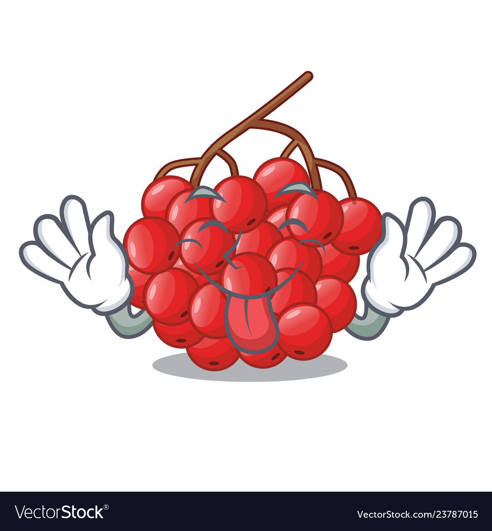 Tongue out rowan berries isolated with the mascot