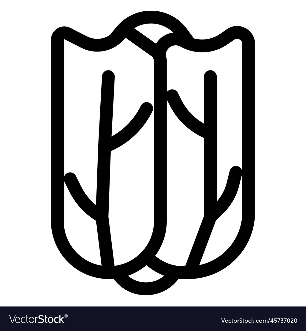 Raw and fresh napa cabbage Royalty Free Vector Image