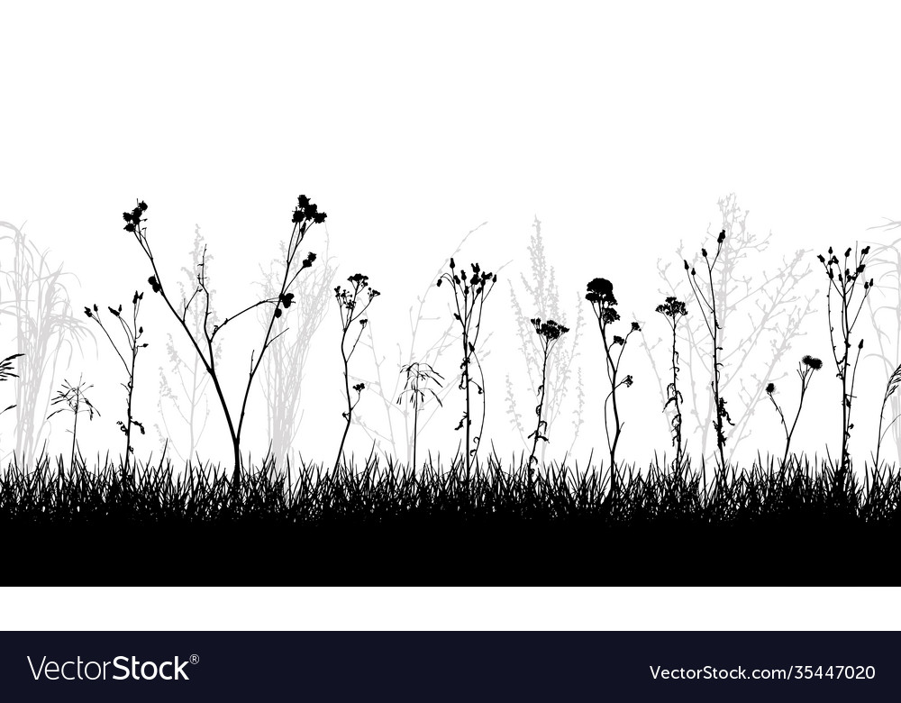 Seamless pattern meadow with weeds and wild