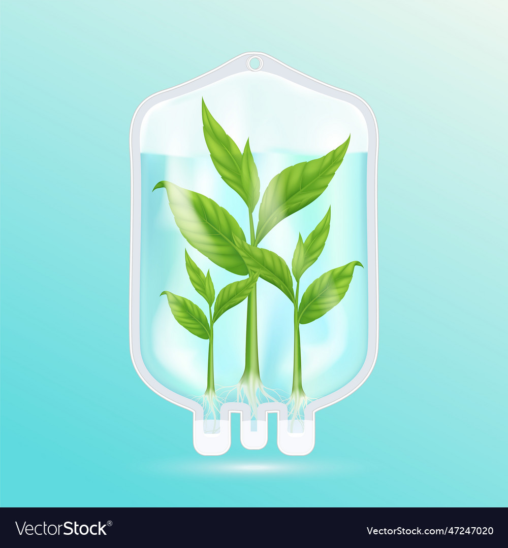 Seedling with leaf green in saline bag solution