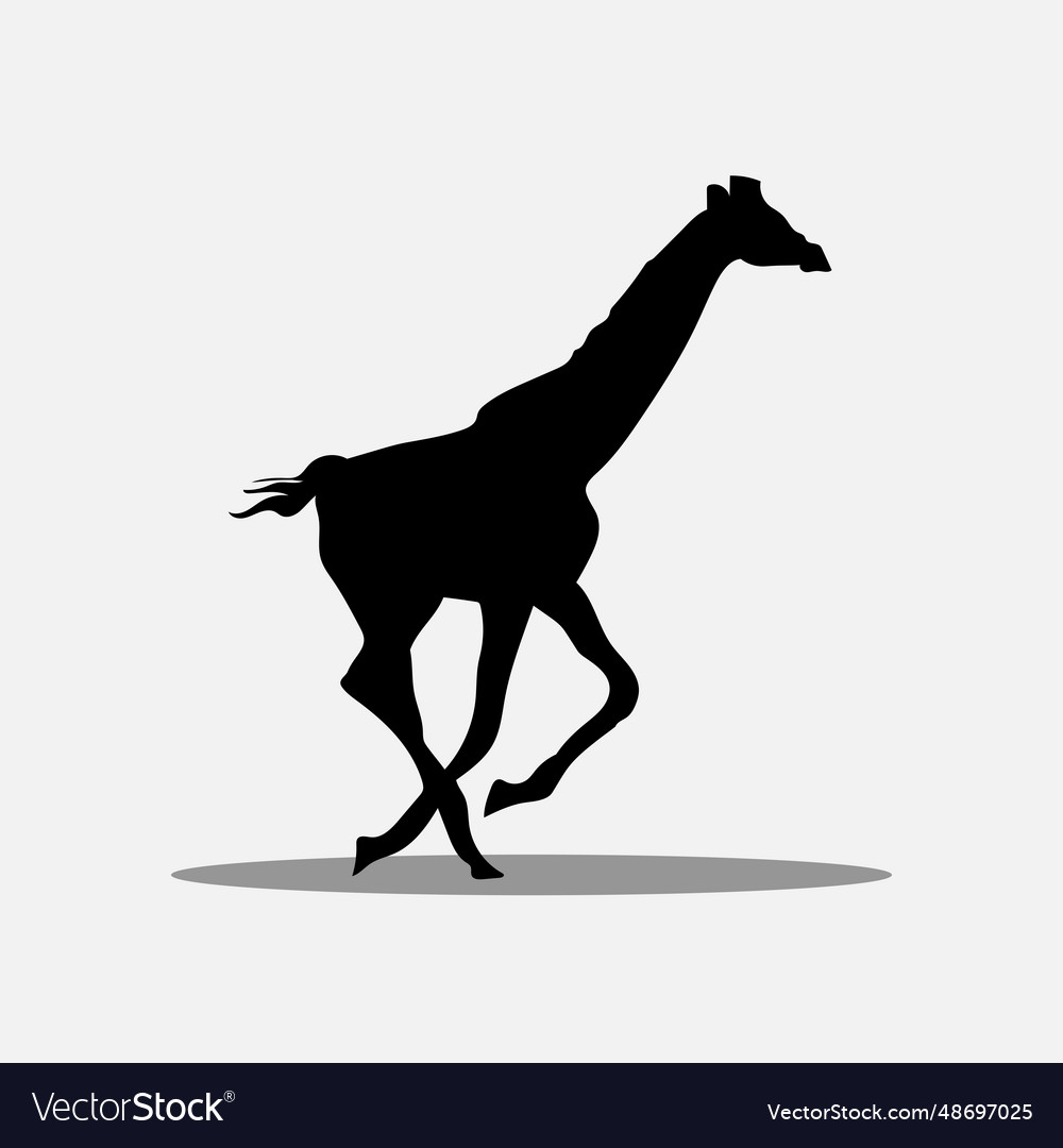 Giraffe png