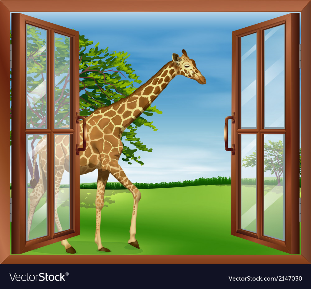 A giraffe outside the window