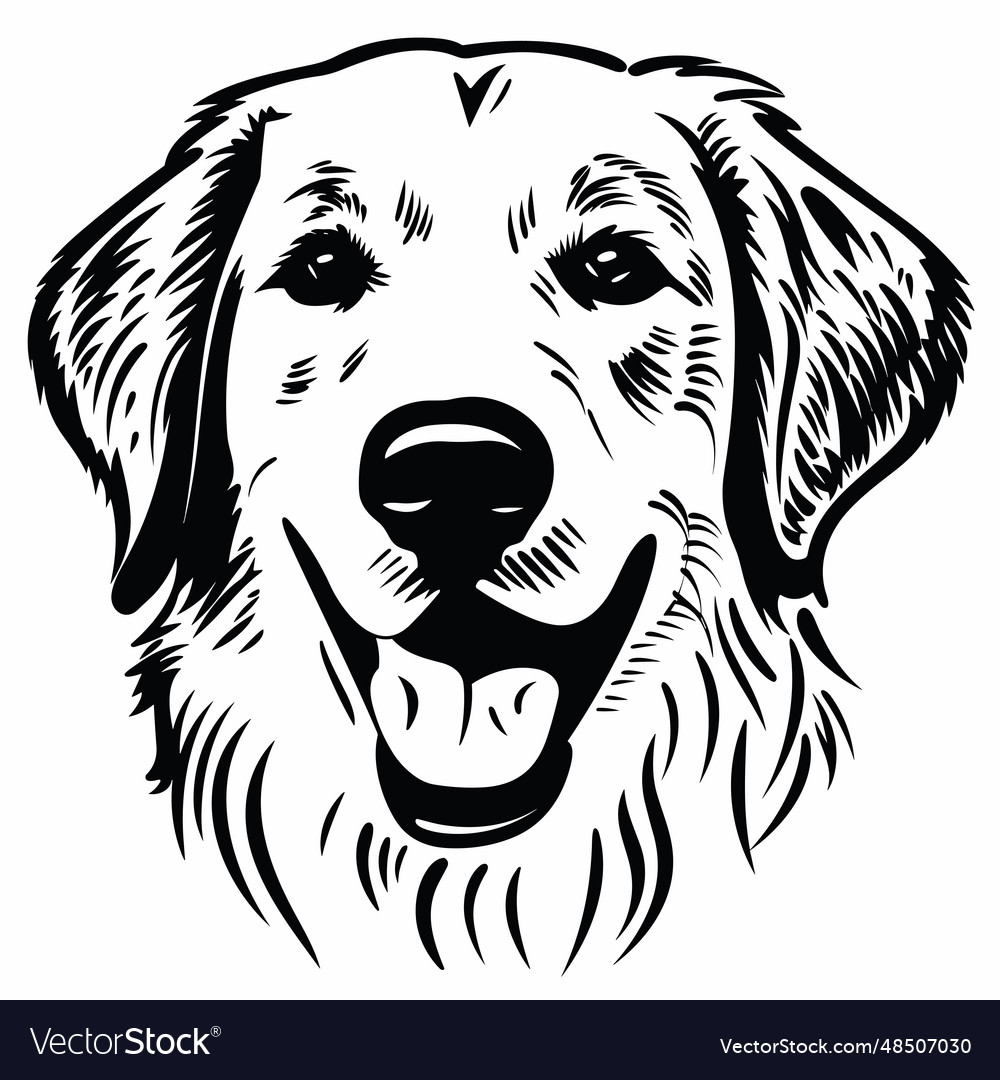 Golden retriever black icon on white background Vector Image