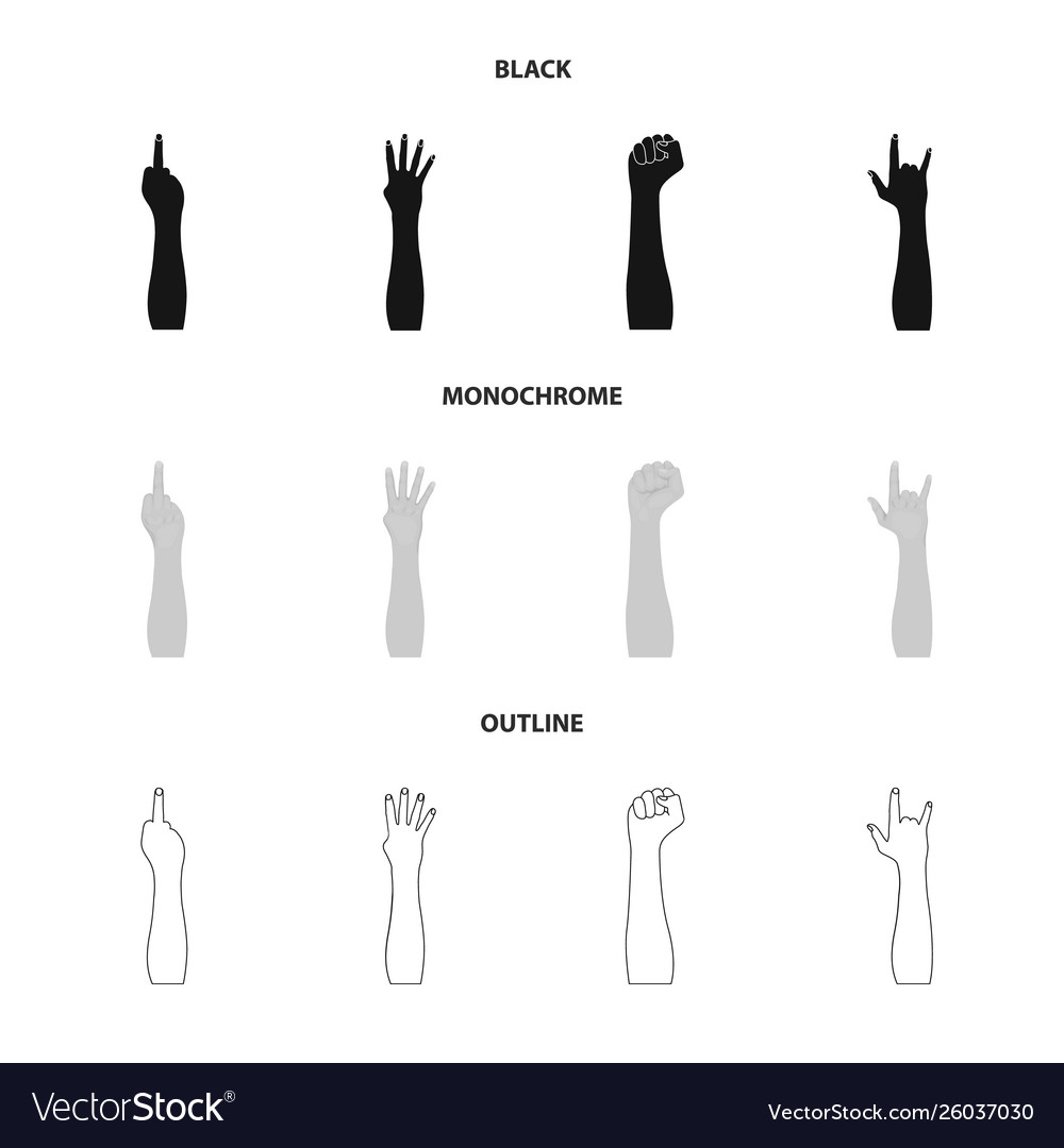 Isolated object and animated icon set