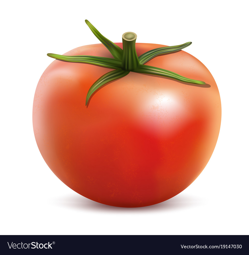 Tomato isolated on white background