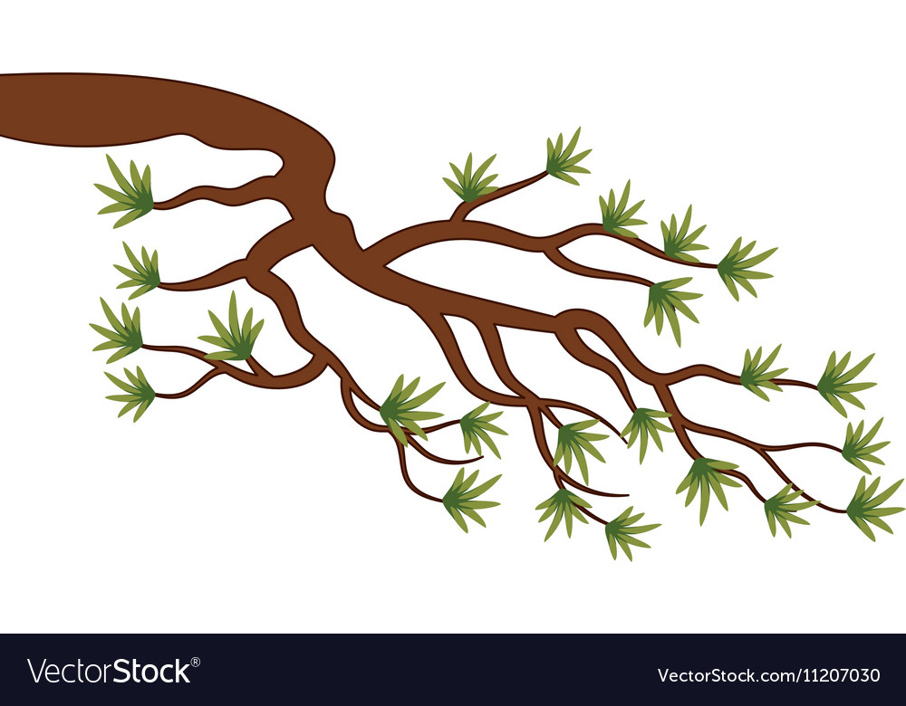 Tree branch
