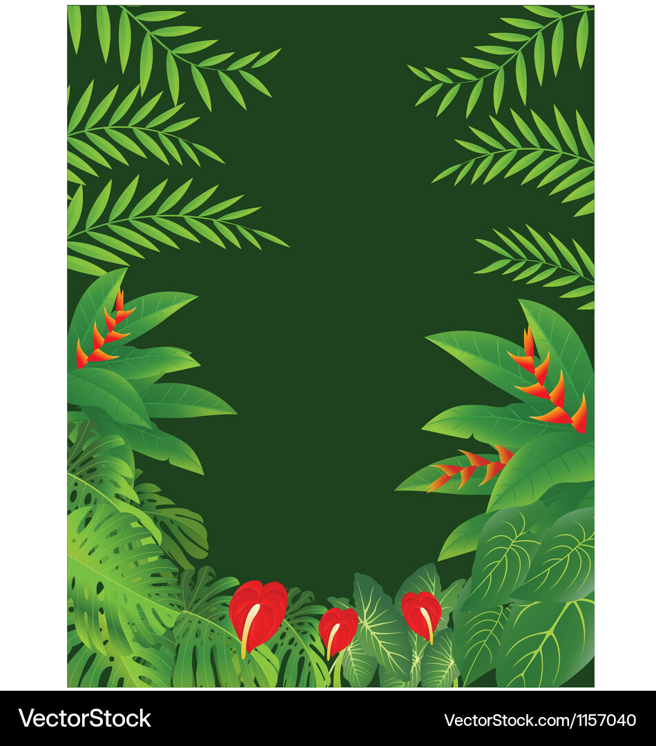 Tropical forest background Royalty Free Vector Image
