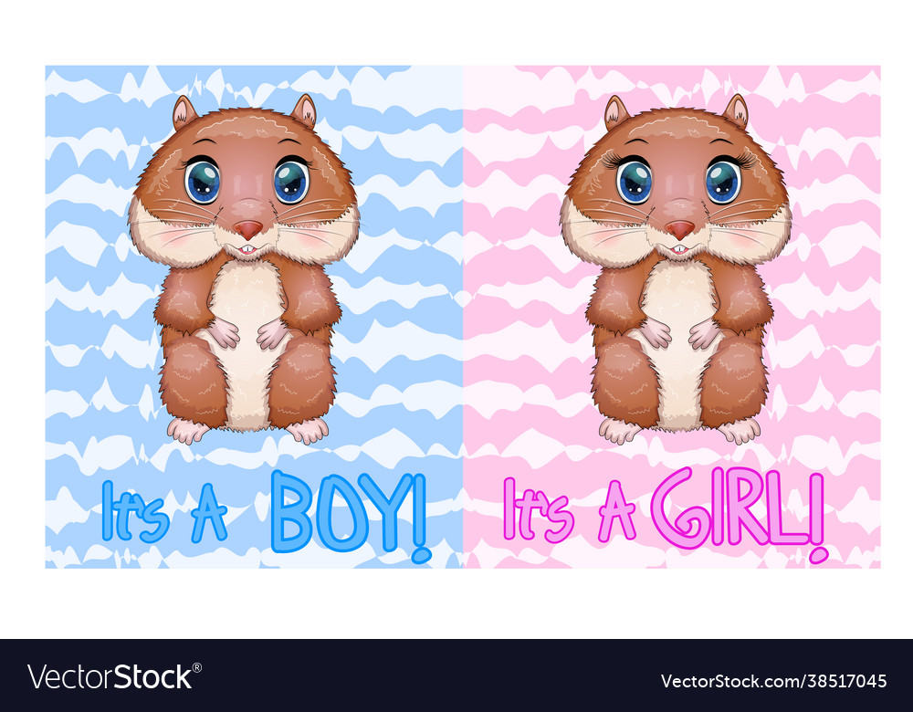 Baby birthday card boy or girl brown hamster