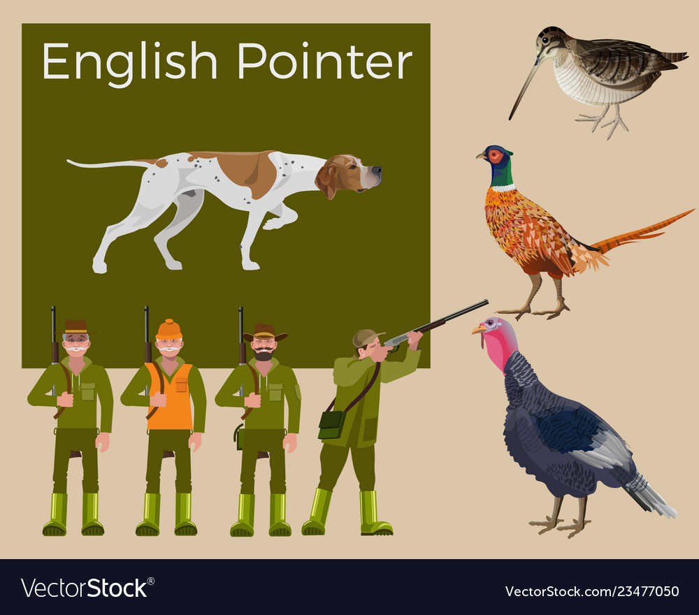 English Pointer Hunting Set