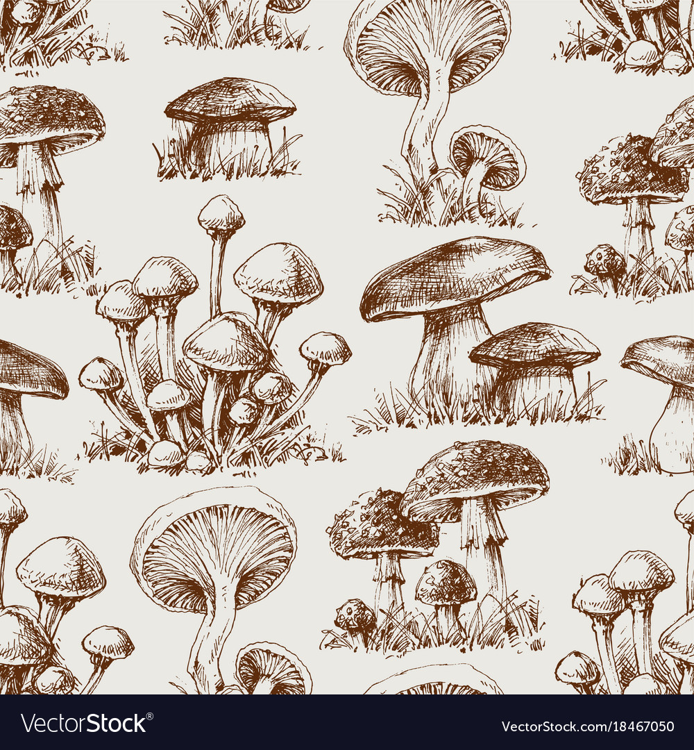 Mushroom seamless pattern Royalty Free Vector Image