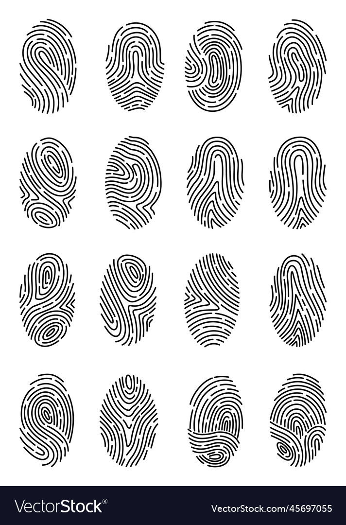 Fingerprint identification collection scan