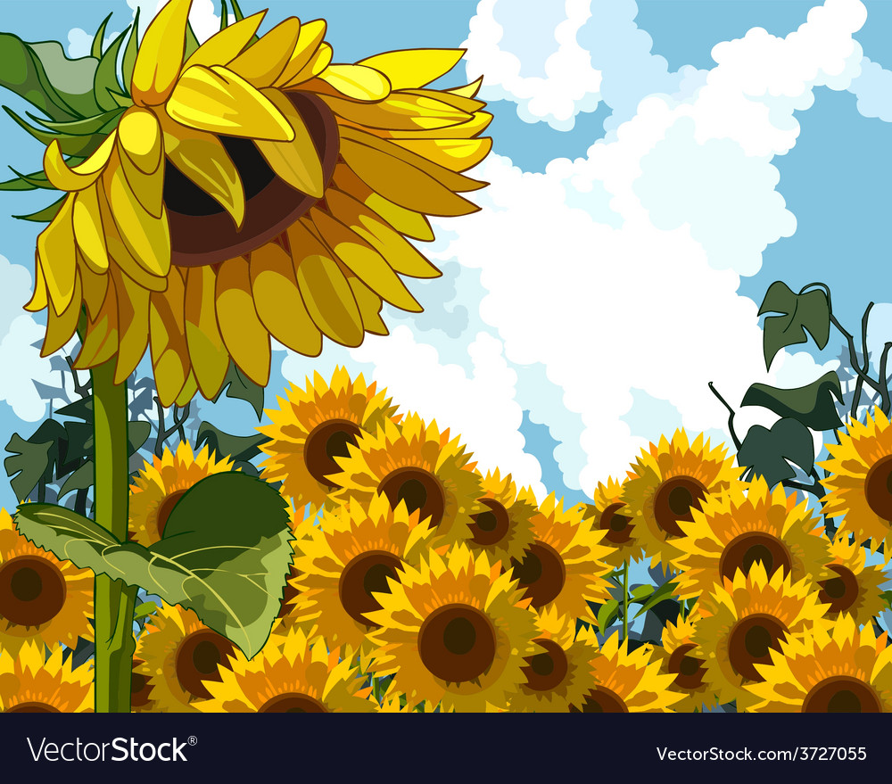 Free Free 165 Svg Of Sunflower SVG PNG EPS DXF File