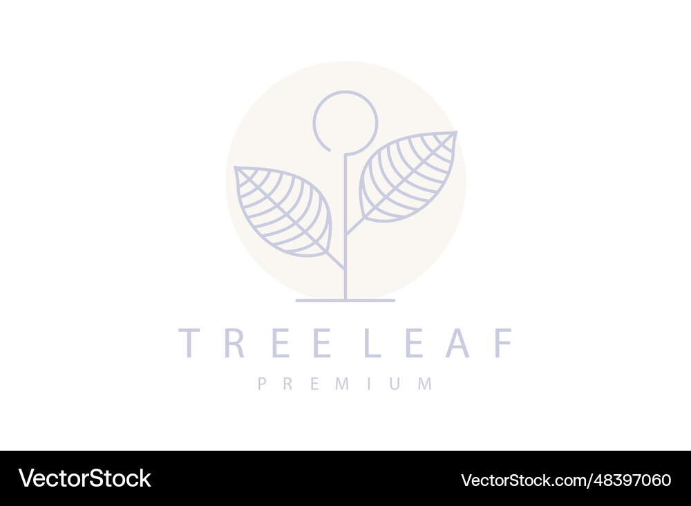 Tree leaf Royalty Free Vector Image - VectorStock