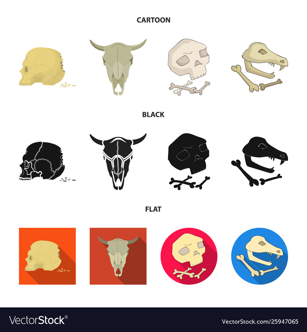 Design skeleton and character icon