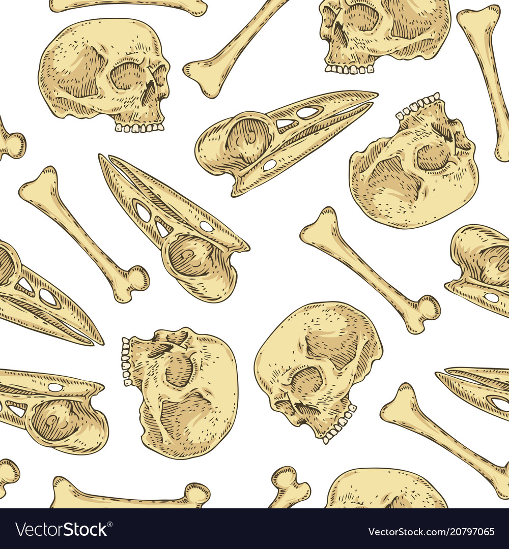 Seamless pattern with skulls and bones