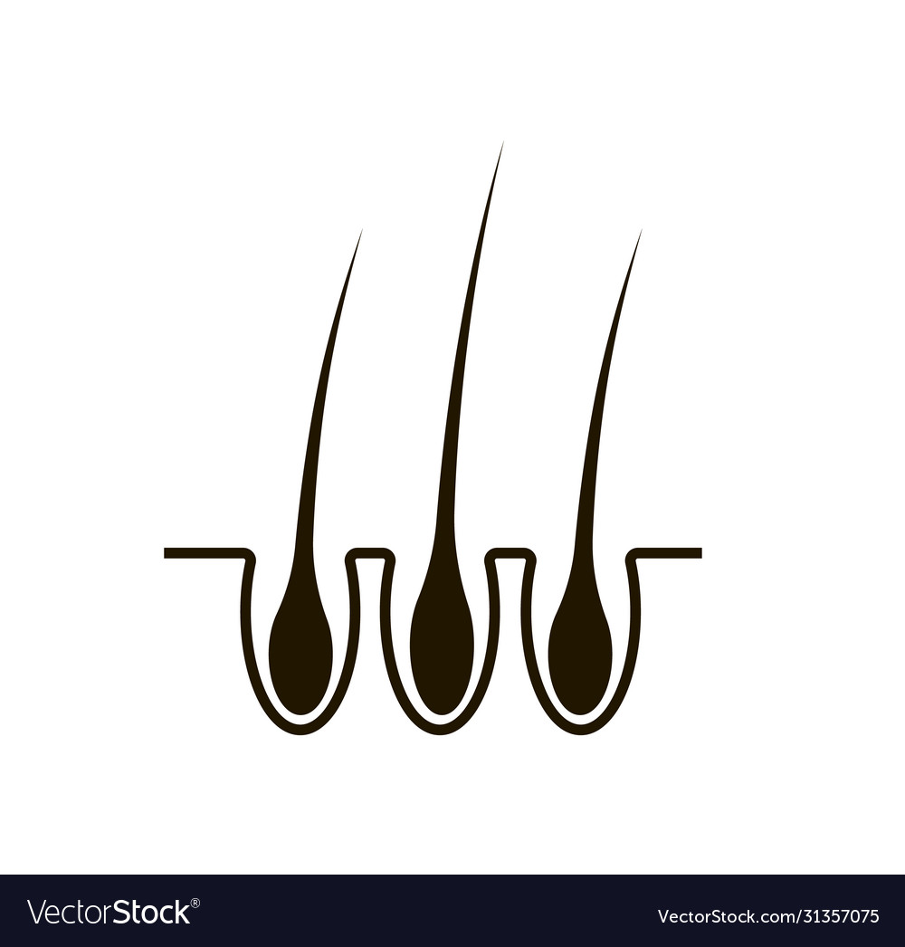 human hair vector