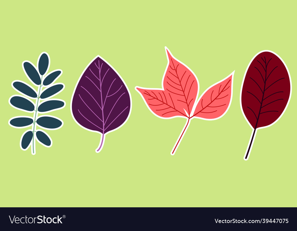 Print vector image Print