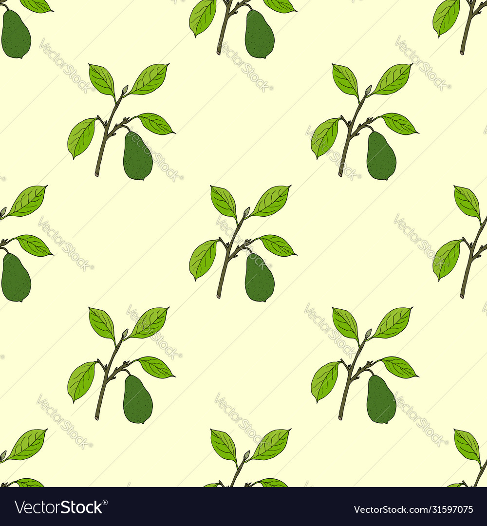 Seamless pattern with hand drawn avocado branch