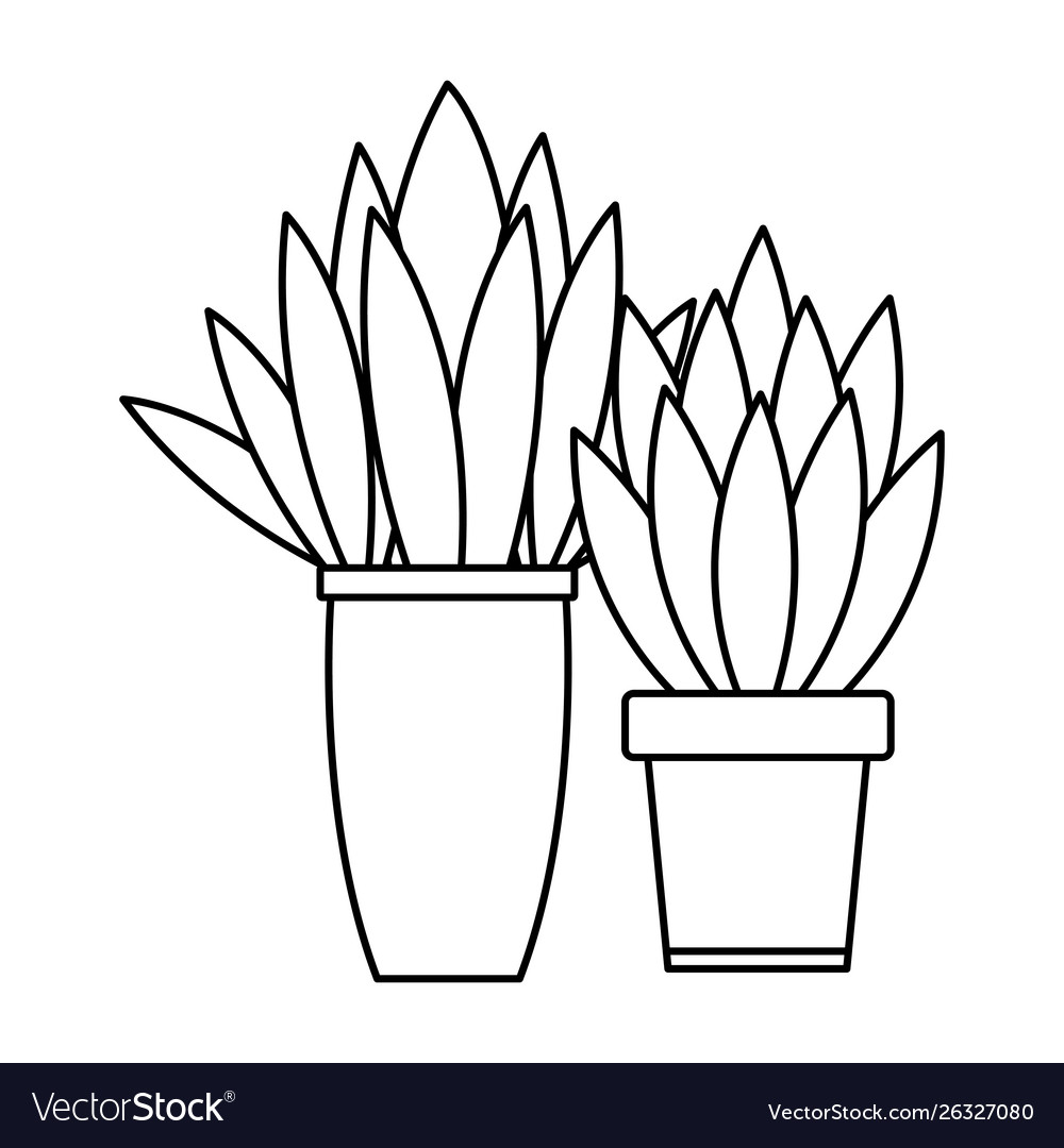 Decorative house plant pots cartoon in black