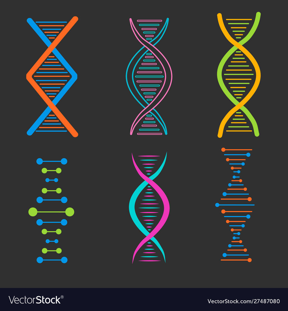 Dna genetic sign Royalty Free Vector Image - VectorStock