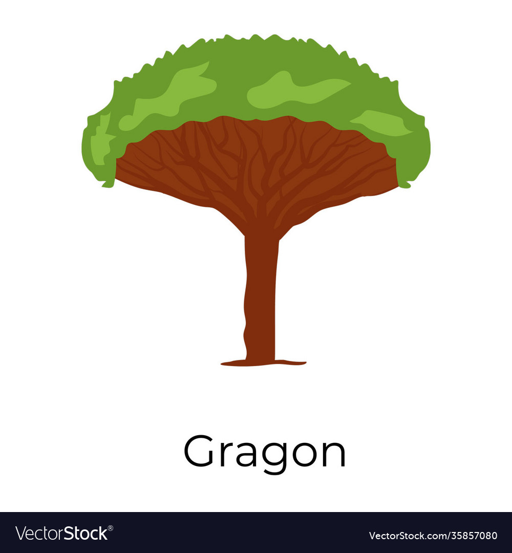 Dragon tree