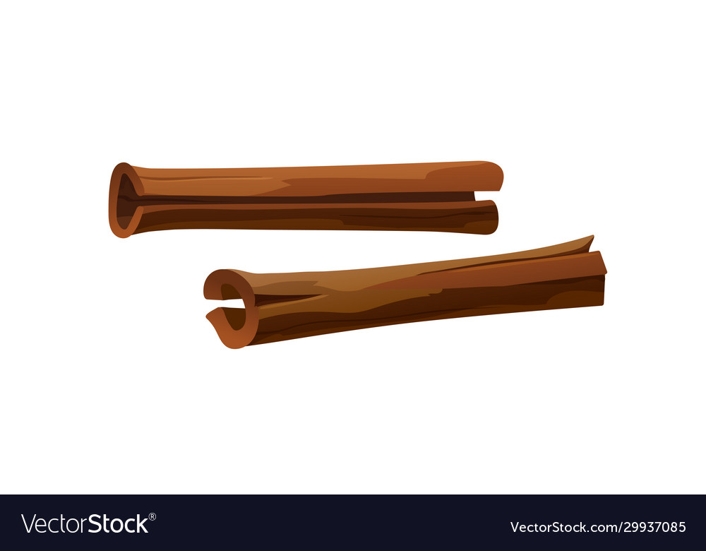 Cinnamon sticks in cartoon style clip-art