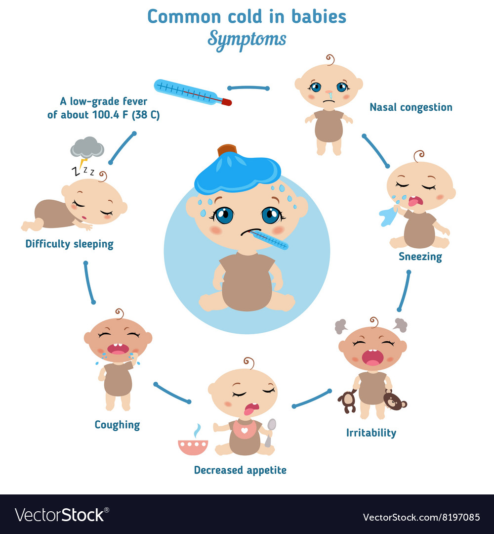 Common Cold In Babies Symptoms Royalty Free Vector Image