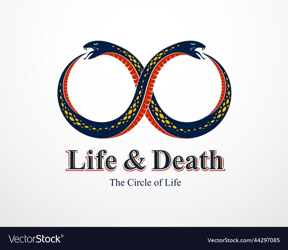 Ouroboros snake in a shape of infinity symbol vector image Ouroboros snake in a shape of infinity symbol