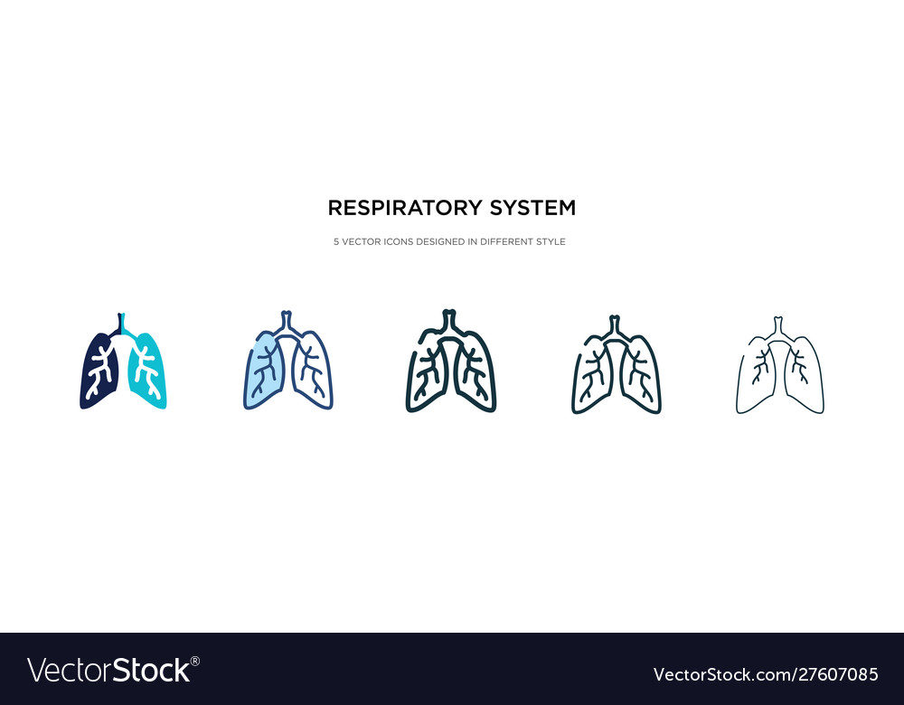 Respiratory system icon in different style two vector image Respiratory system icon in different style two