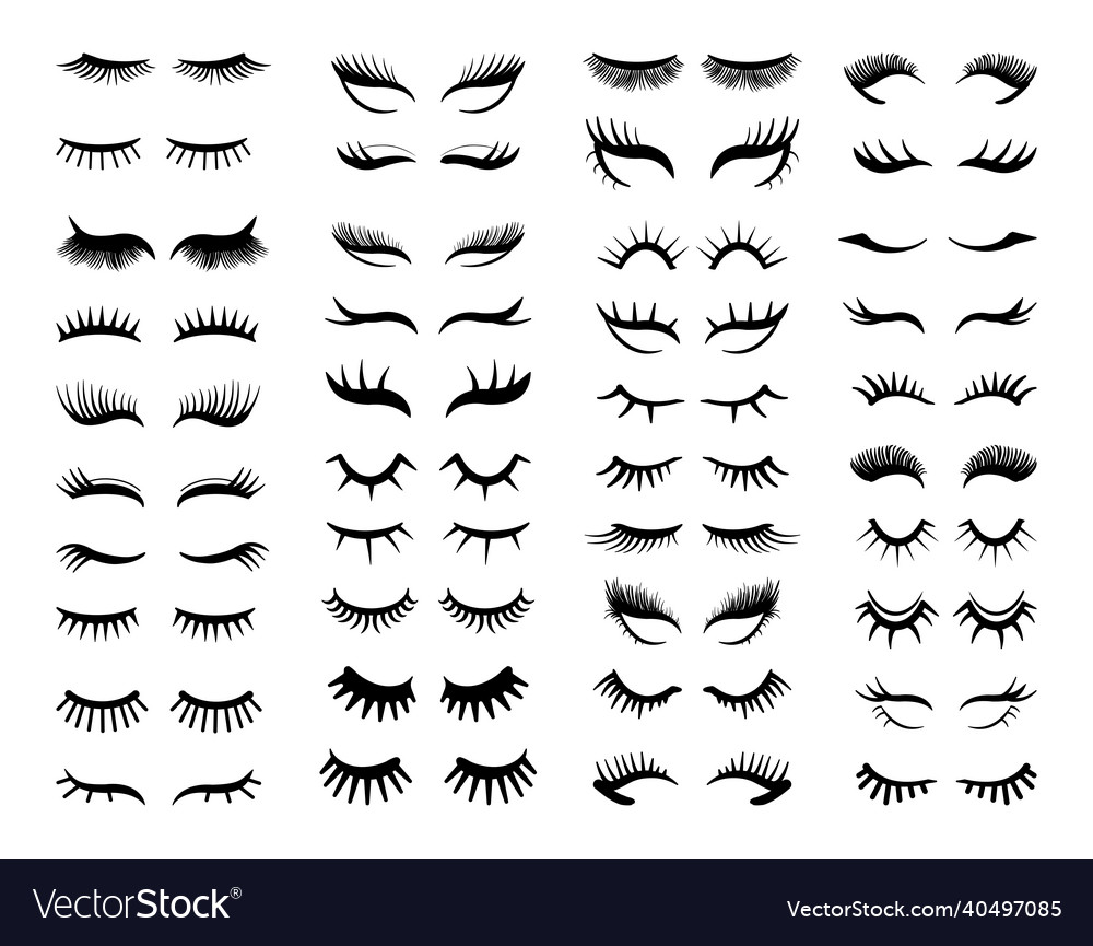 Set of black eyelashes Royalty Free Vector Image