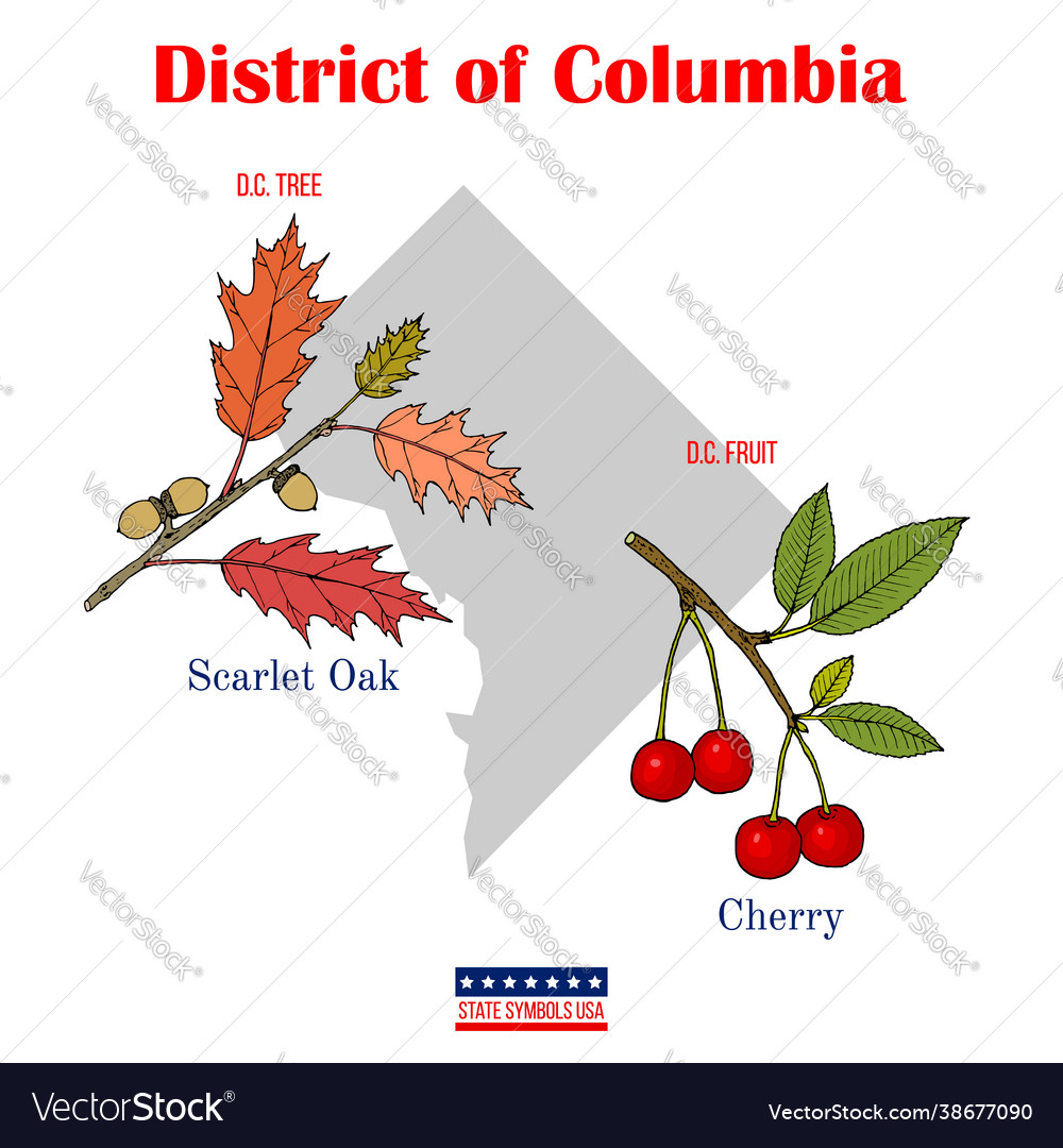 District columbia set usa official