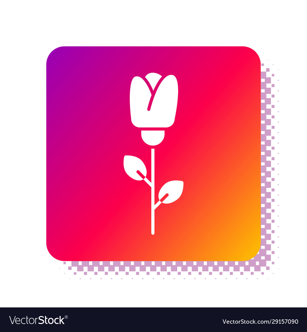 White flower rose icon isolated on Royalty Free Vector Image