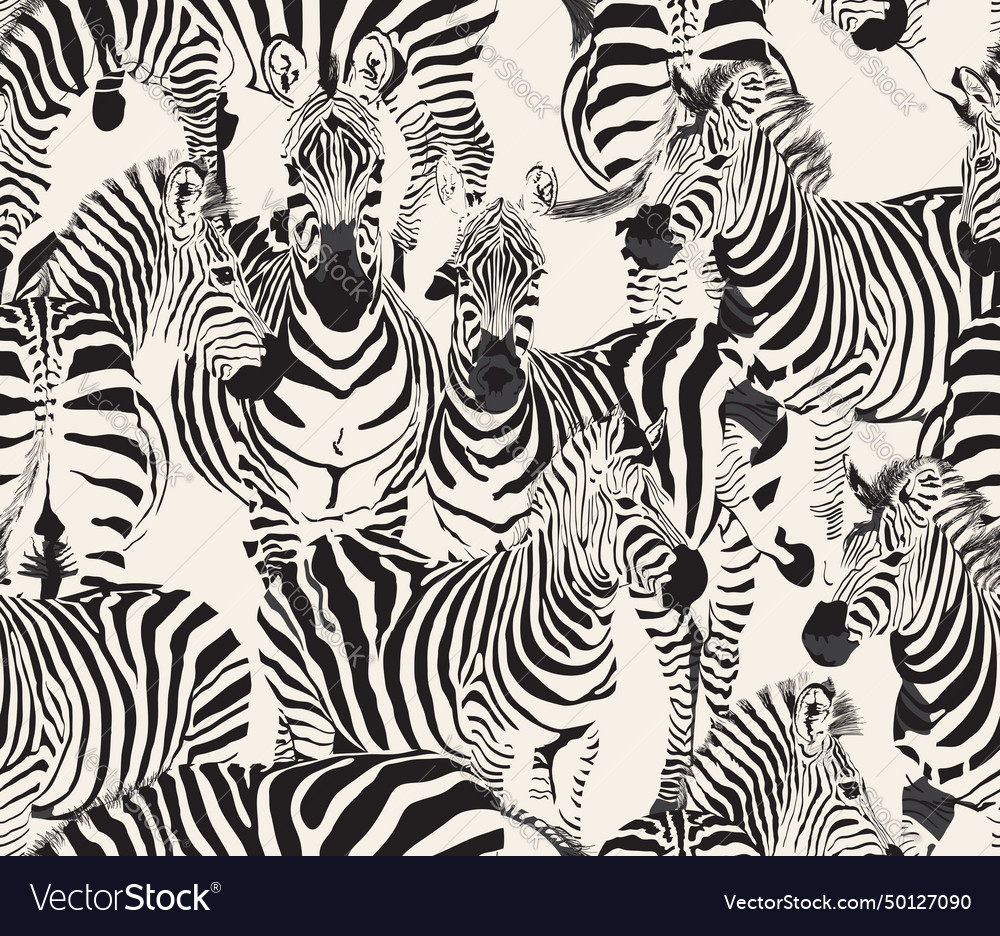 Zebra line seamless pattern