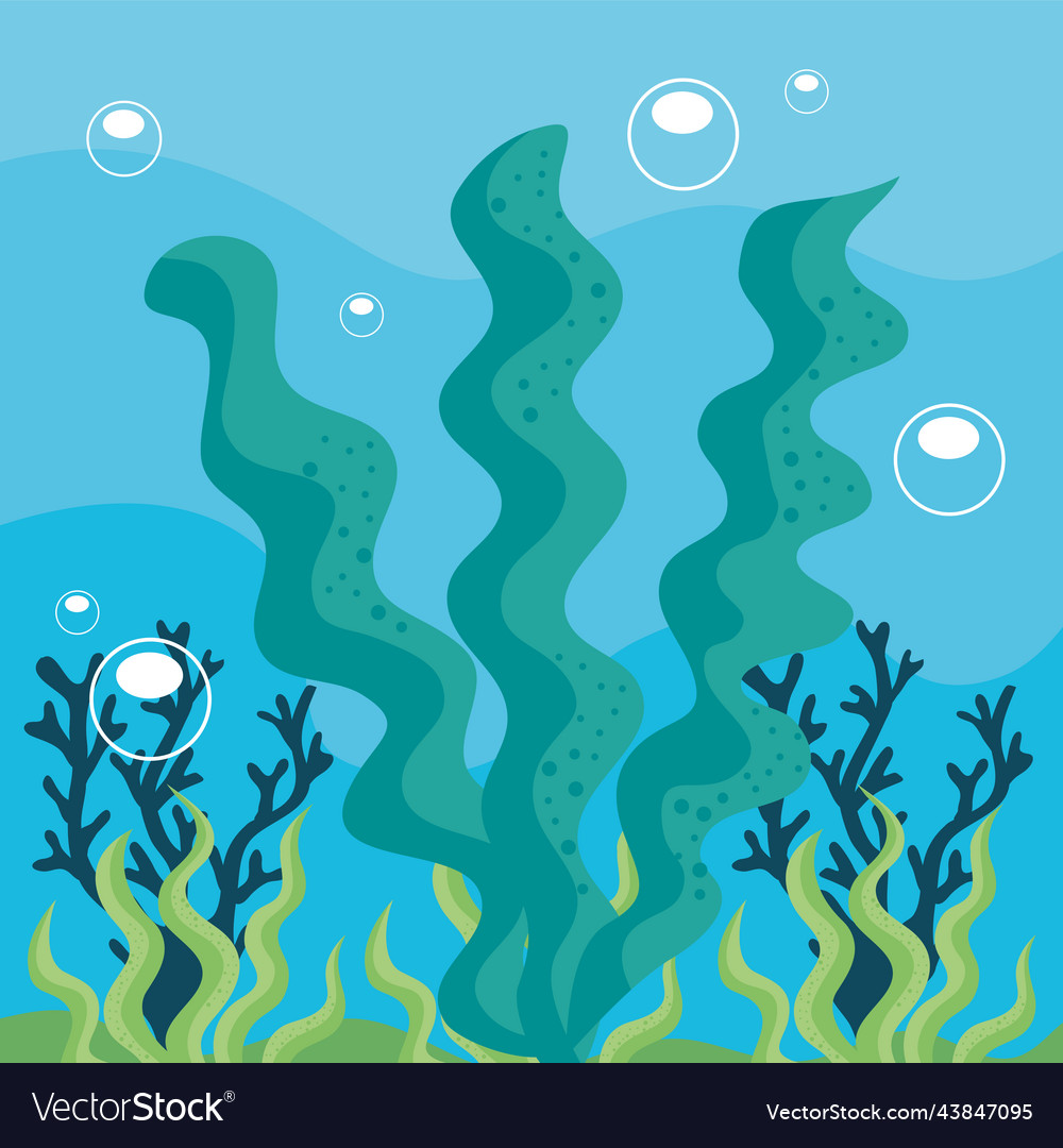 Green algaes coral reef Royalty Free Vector Image