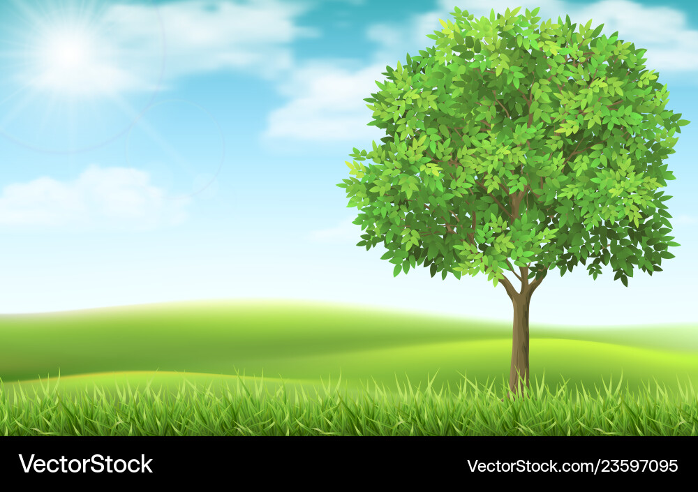 Tree on landscape background Royalty Free Vector Image