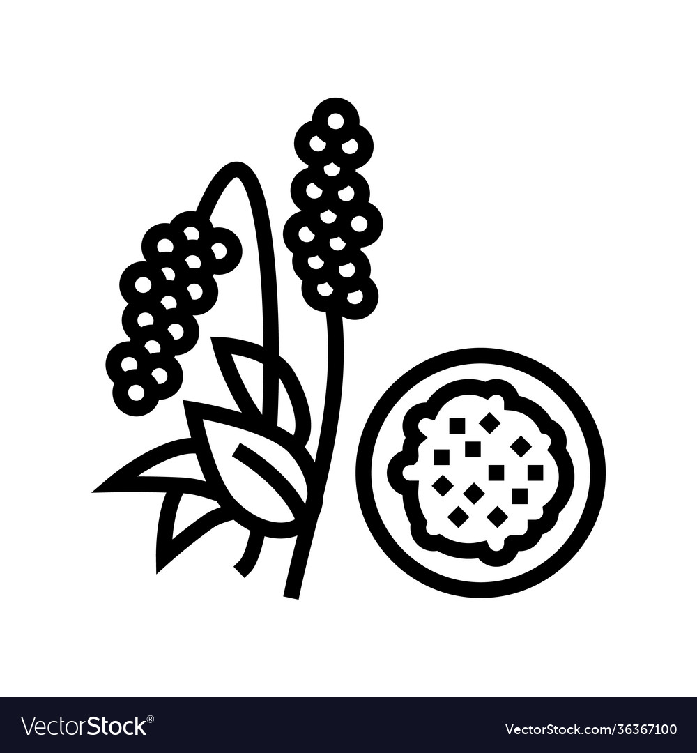 Amaranth groat line icon