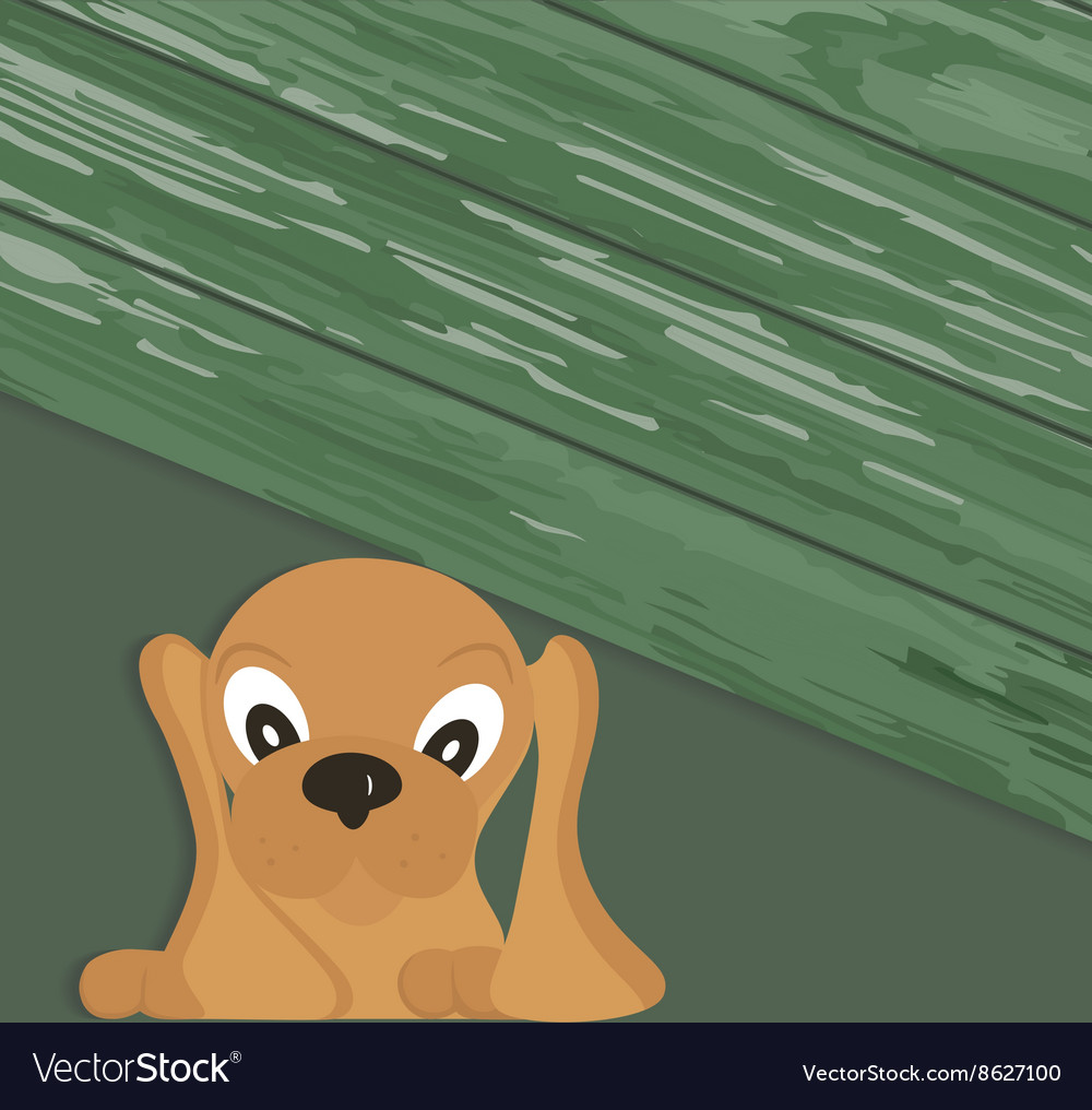 Backdoor labrador Backdoor labrador